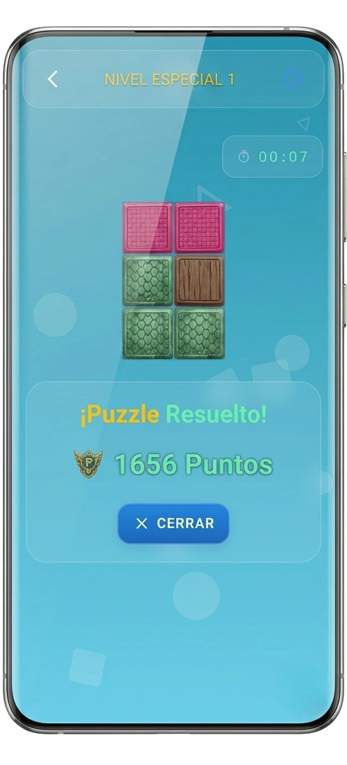 Juego de Puzzle Detalle
